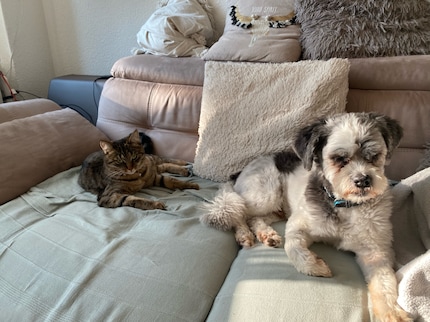 Mensch, für dich ist jetzt halt kein Platz mehr auf dem Sofa, sorry gell.