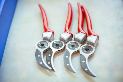 Wer rastet, der rostet: Die Schere sollte nicht draussen liegen gelassen werden, sondern gehört ins Gartenhäuschen oder den Keller.