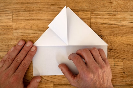 Nun beginnt der interessante Teil: Falte ein Dreieck nach oben und streiche die Falz glatt.