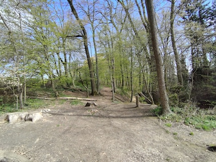 Unbearbeitetes Bildmaterial der Ranger von BleeqUp.