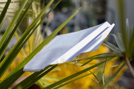 So ungefähr wird mein Gleiter aussehen, dessen Geheimnis im Rumpf steckt.