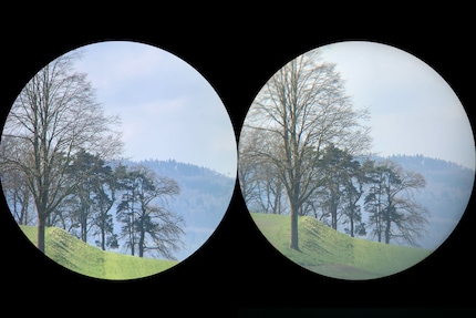 Natürlicher, schärfer, kontrastreicher: Dass das Nikon Monarch M5 (links) in einer anderen Klasse spielt, sieht man beim Blick durchs Okular sofort.