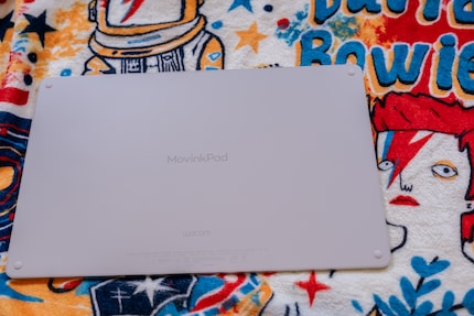 Een Pro tablet zonder camera? Zelfs David Bowie kijkt verward.