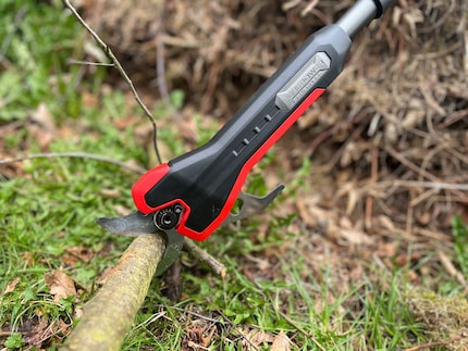 Überzeugt im Test: Die Einhell-Astschere liefert glatte Schnitte auf Knopfdruck.