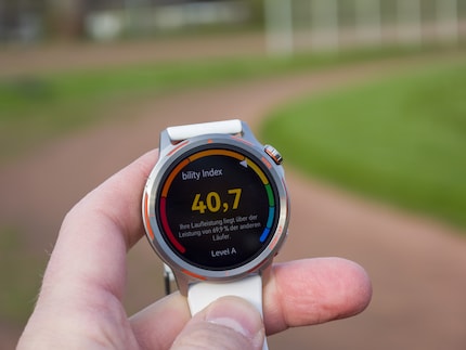 Für mich hat der Running Ability Index als komplett neuer Wert noch keine Aussagekraft. Er muss sich noch etablieren und ich verstehen, was er im Verhältnis zu anderen Werten bedeutet. 