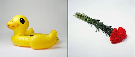 Gelbe Gummienten waren 2020 ein Symbol der Pro-Demokratie Proteste in Thailand. Rote Nelken stehen für einen weitgehend unblutigen Militärputsch in Portugal am 25. April 1974.