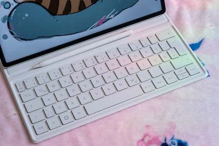 Die Tastatur tippt sich angenehm und hat praktische Funktionstasten.