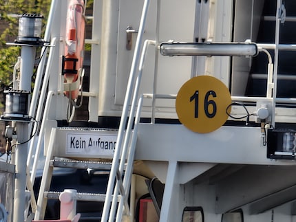 Bei 3200-mm-Brennweite sind seltsame Artefakte zu sehen. Hier scheint viel KI oder ein starker Weichzeichner im Spiel zu sein.