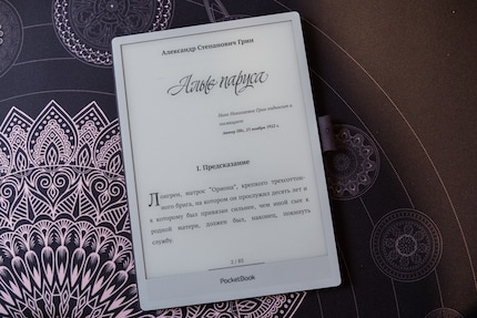 Dank 32 Gigabyte internem Speicher lade ich unzählige Bücher auf das Inkpad One.