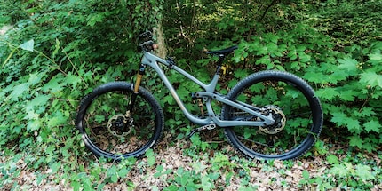 Das Mountainbike in seinem natürlichen Habitat.