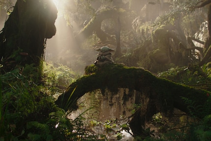 «You must feel the Force around you; here, between you, me, the tree, the rock, everywhere, yes.»