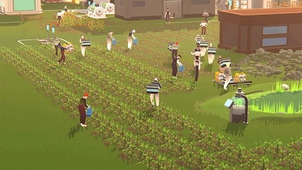 Um viele Seedlinge zu ernähren, braucht es viele Seedlinge.