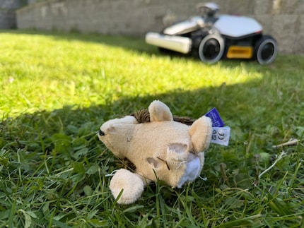 Ich brauche wohl einen neuen Test-Igel für weitere Mähroboter-Tests. Der Luba Mini hat das Hindernis nicht erkannt.