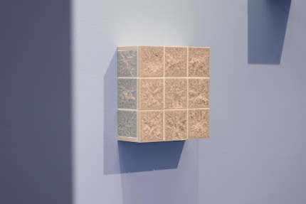 What remains when the snow melts? A tile.