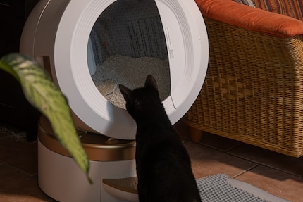 Was passiert hier? Balu ist der rotierende Pott nicht geheuer.