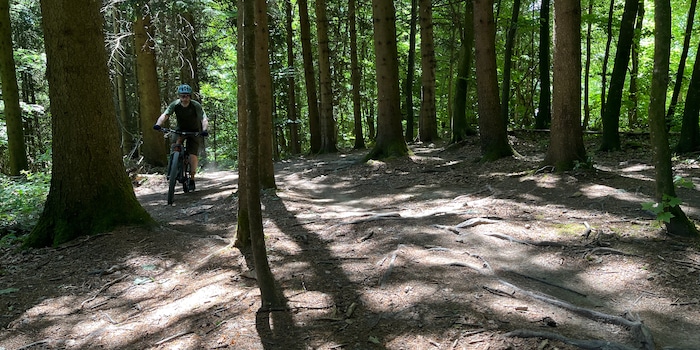 Bosch eBike Systems / Ilona Jeckelmann Bosch eBike Systems / Ilona Jeckelmann