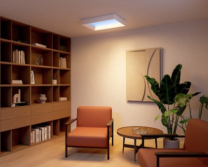 Das Skylight bringt simuliertes Tageslicht in dunkle Ecken.