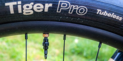 Das ExoCore-Tubeless-Ventil mit Kupferelementen ohne den Tap Cap.