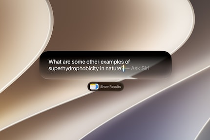 On the Mac, you can also ask Siri AI questions directly in Spotlight.