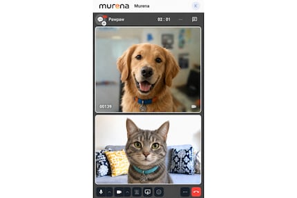 Anche i privati potranno usare Murena Meet.