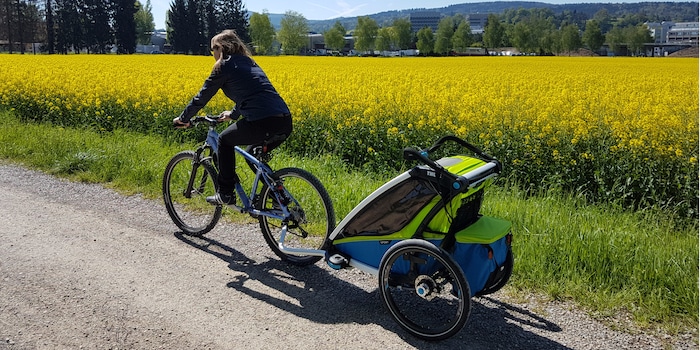 Bei direkter Sonneneinstrahlung kannst du den mitgelieferten Sonnenschutz am Anhänger befestigen. Bei direkter Sonneneinstrahlung kannst du den mitgelieferten Sonnenschutz am Anhänger befestigen.
