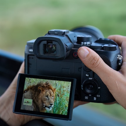 Die Kamera soll auch für Wildtierfotografie etwas taugen.