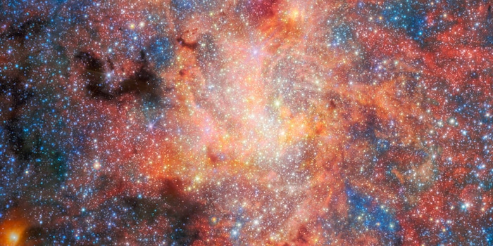 © ESA/Webb, NASA & CSA, F. Peißker, J. Lu, F. Yusef-Zadeh, N. B. Sabha, C. Chan / IRS 3 Field (NIRCam and MIRI image) / CC BY 4.0 (Excerpt) © ESA/Webb, NASA & CSA, F. Peißker, J. Lu, F. Yusef-Zadeh, N. B. Sabha, C. Chan / IRS 3 Field (NIRCam and MIRI image) / CC BY 4.0 (Excerpt)