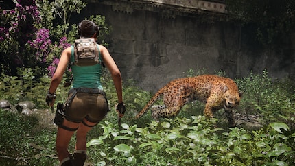 Der Panther kann sich während des Kampfes auch verstecken.