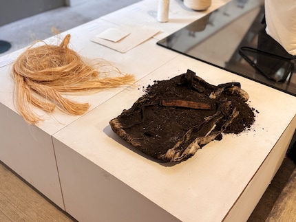 Al na zes weken in de compost begint het recycleproces.