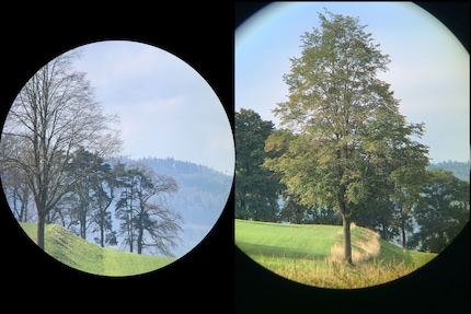 Links der Blick durch das Nikon Monarch M5 10×50, rechts das Kowa BD III 10×42 XD.