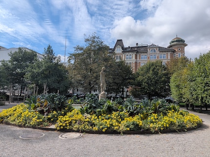 Hier ein Foto des Pixel 11 Pro mit 50-MP-Auflösung. Schärfegrad und Farbgebung gefallen mir.