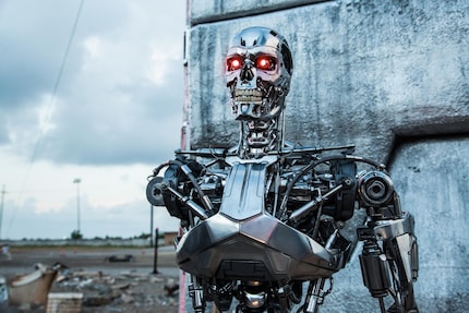 Der Terminator ist das Gesicht vieler KI-Ängste. Echte Superintelligenz würde uns kaum mit Killerrobotern gezielt auslöschen, sondern eher aus Gleichgültigkeit als Kollateralschaden.