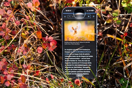 Siri lebt in der Dynamic Island. Ziehe ich sie nach unten, komme ich direkt in die App.