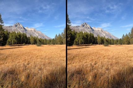 Die Textur «Film» fügt Kontrast und Körnung hinzu (rechts). Links das Originalbild.