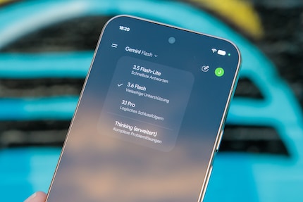 Bei Gemini ist Offline-Nutzung keine Option.