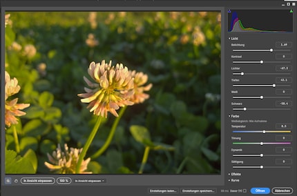 Das Camera-RAW-Modul hat noch keine Automatik.