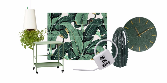 Kein grüner Daumen? Kein Problem! Auch mit Pflanzenprints und grünen Accessoires bringst du etwas Natürlichkeit in dein Zuhause. Kein grüner Daumen? Kein Problem! Auch mit Pflanzenprints und grünen Accessoires bringst du etwas Natürlichkeit in dein Zuhause.