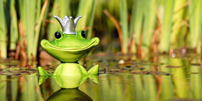 Tipps für die Planung und den Bau eines Gartenteiches. Tipps für die Planung und den Bau eines Gartenteiches.