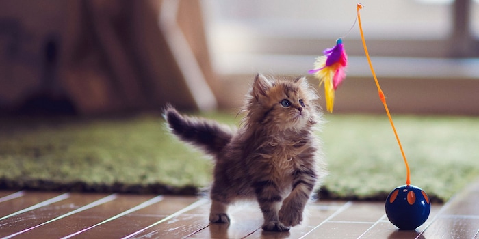 Come and play with me.