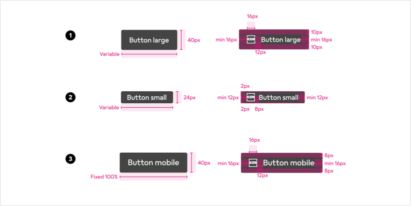 anatomy-button