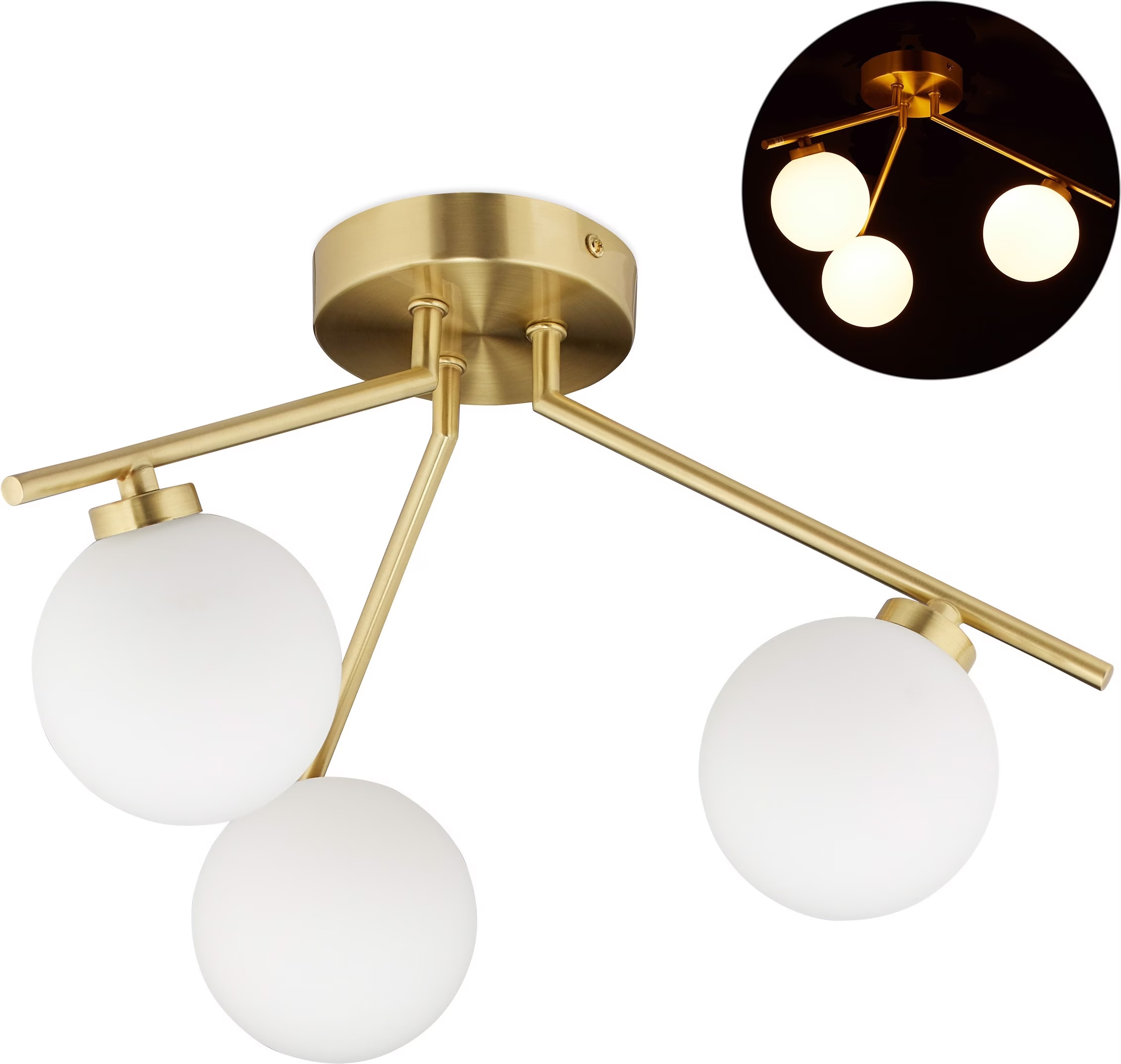 Globi