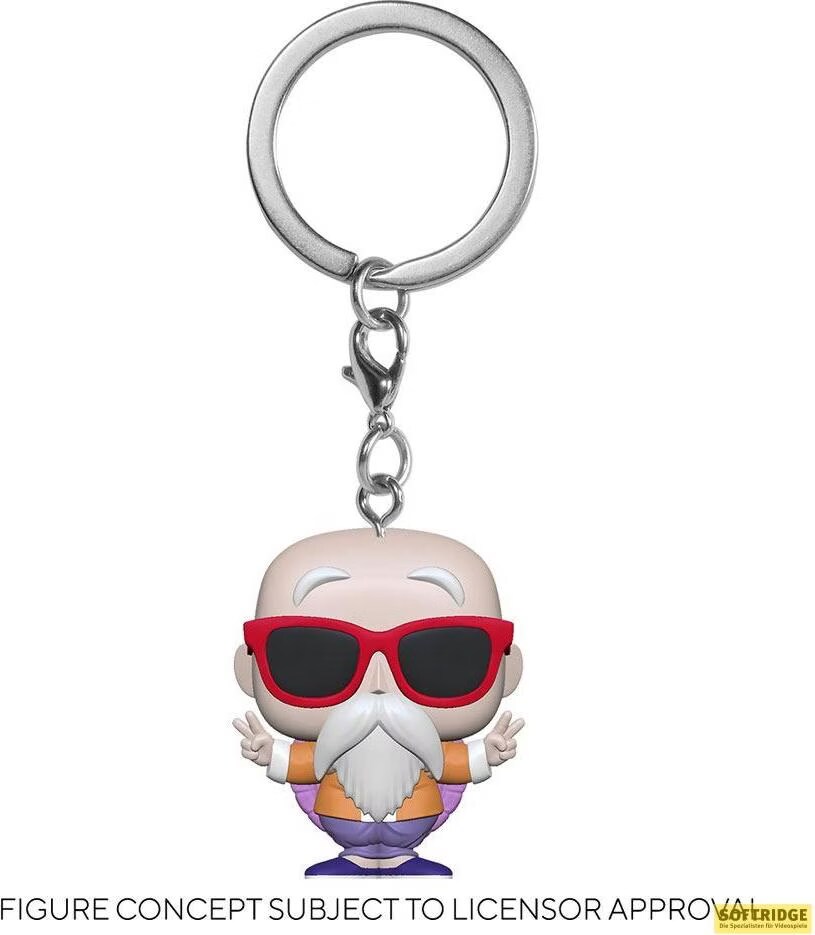 Master Roshi