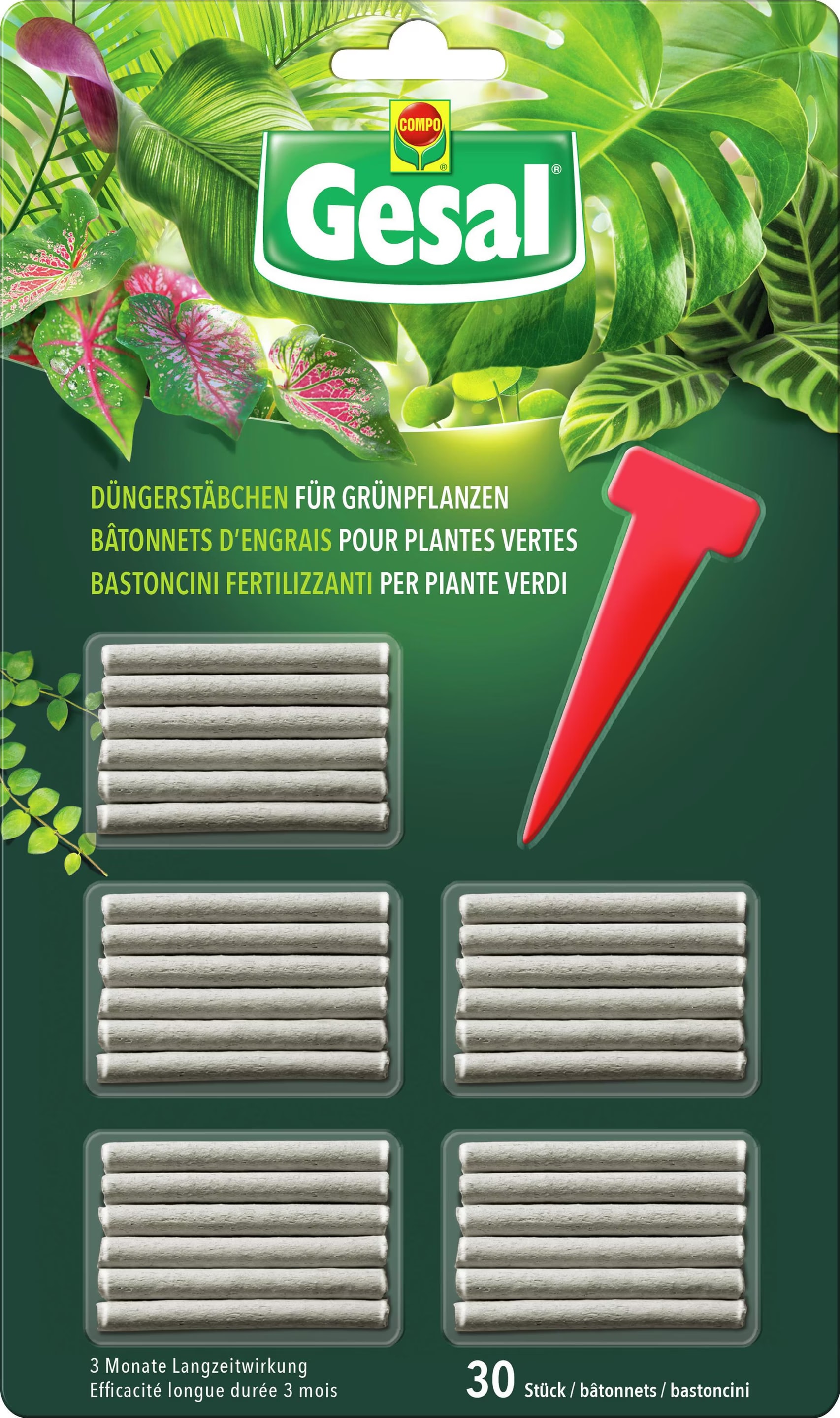 jiaogulan dünger Kraut der Unsterblichkeit / Jiaogulan main image 1