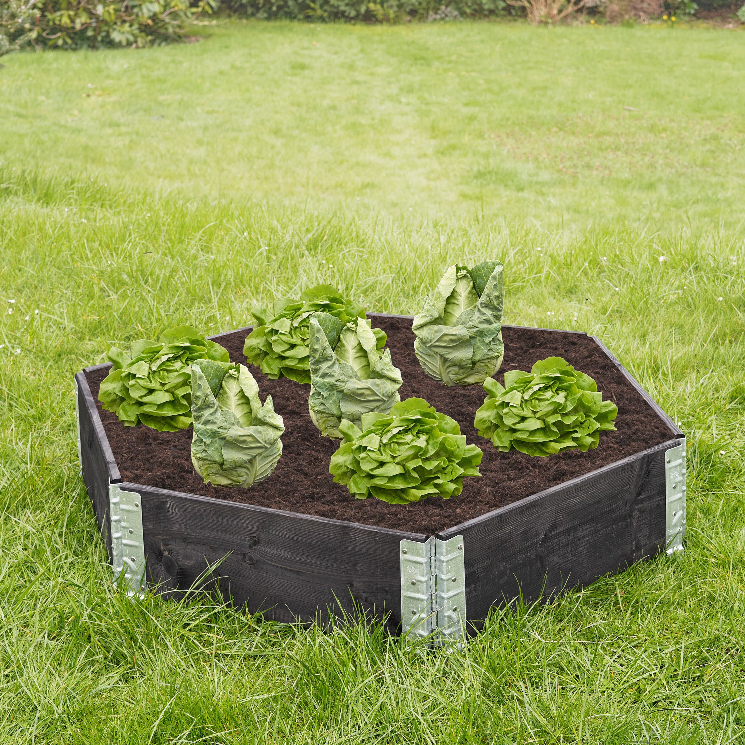 gartenfreude-letto-rialzato-per-piante-a-6-angoli-in-legno-di-abete